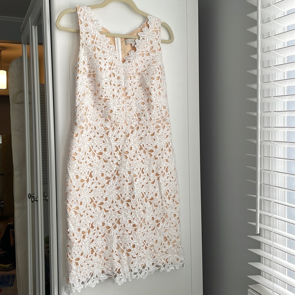 Ann Taylor LOFT lace crochet dress